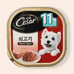시저 11세이상 쇠고기