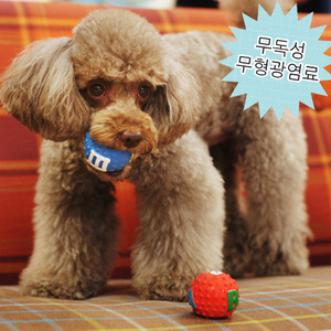 페리스독 스몰볼 라텍스토이 